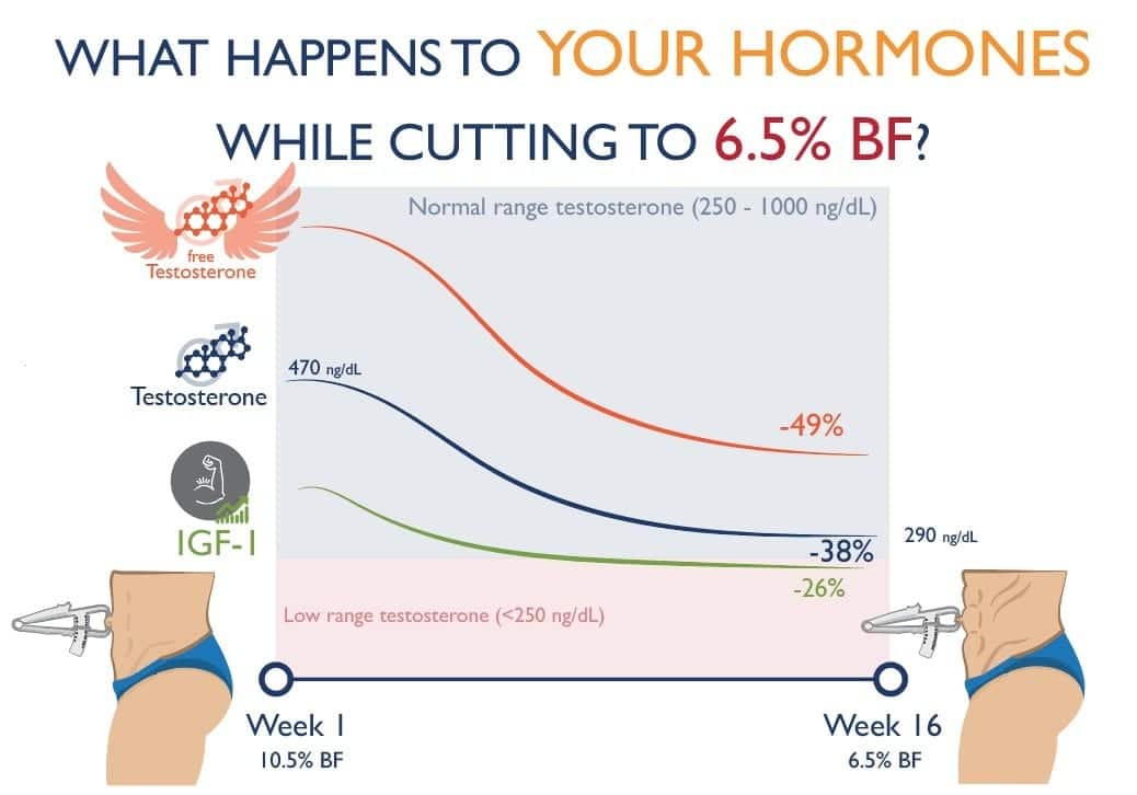 体脂肪率を6.5%まで落とすとホルモンはどう変化するか